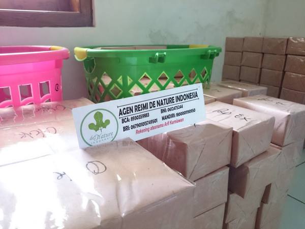 paket kemasan polos obat batu ginjal