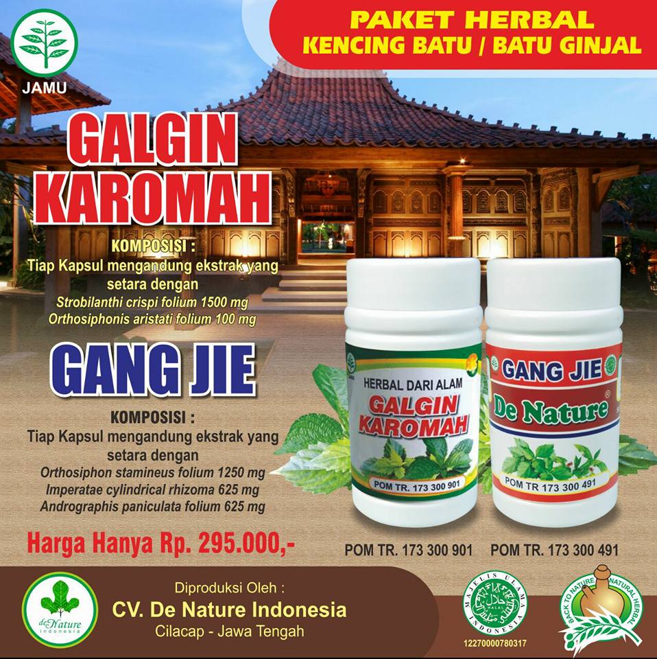 OBAT BATU GINJAL