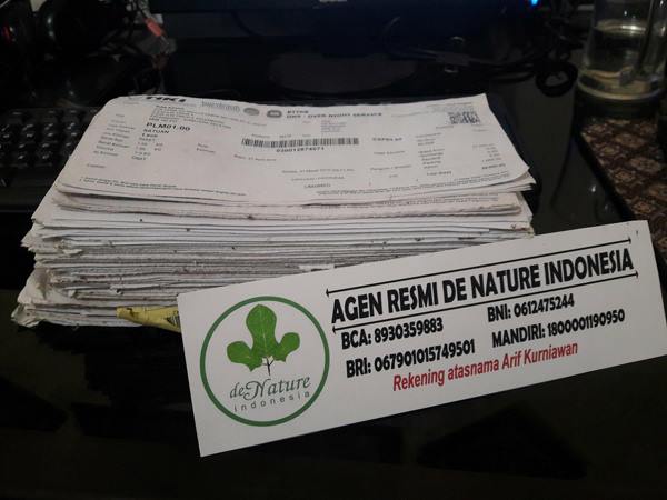 bukrti pengiriman obat batu ginjal