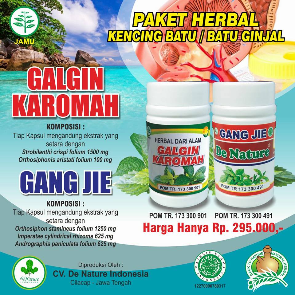 obat batu ginjal