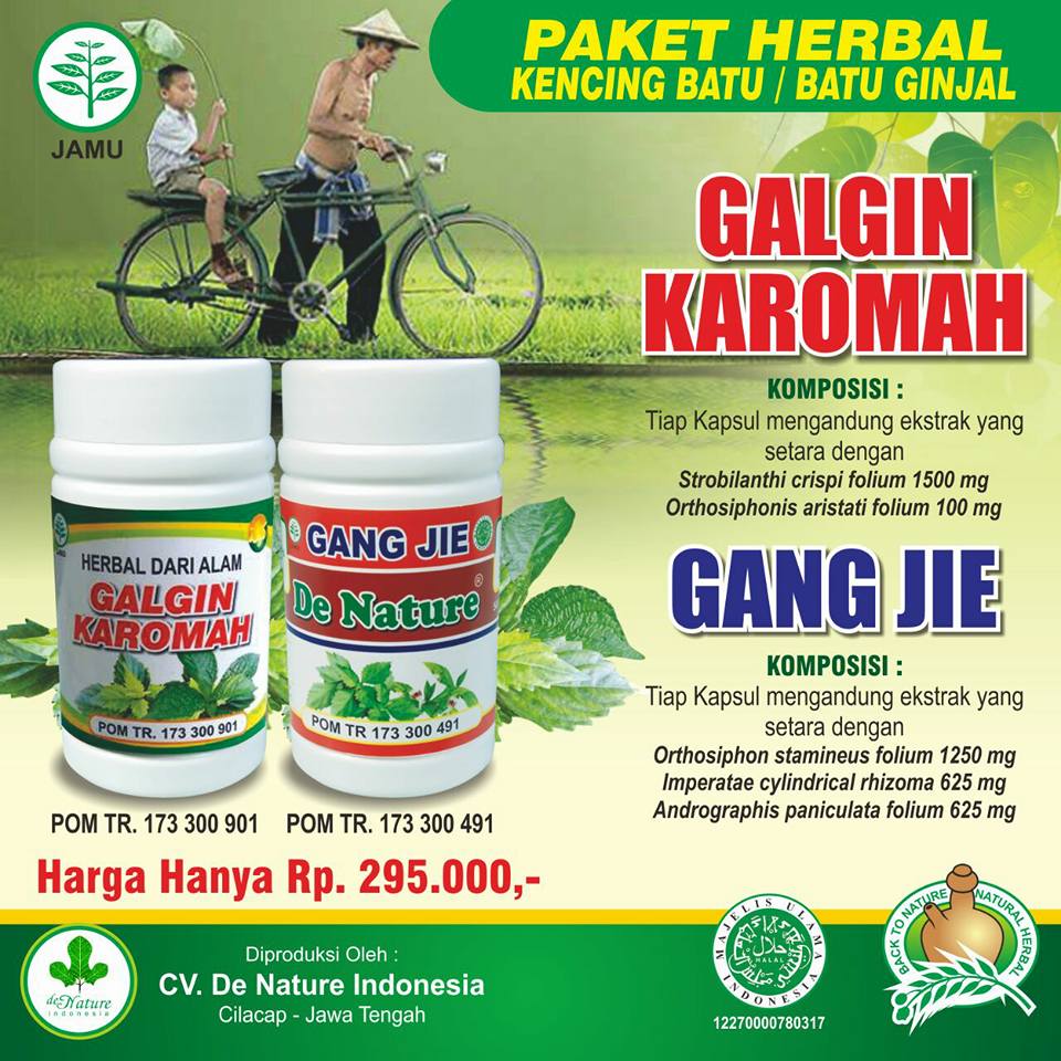 OBAT BATU GINJAL