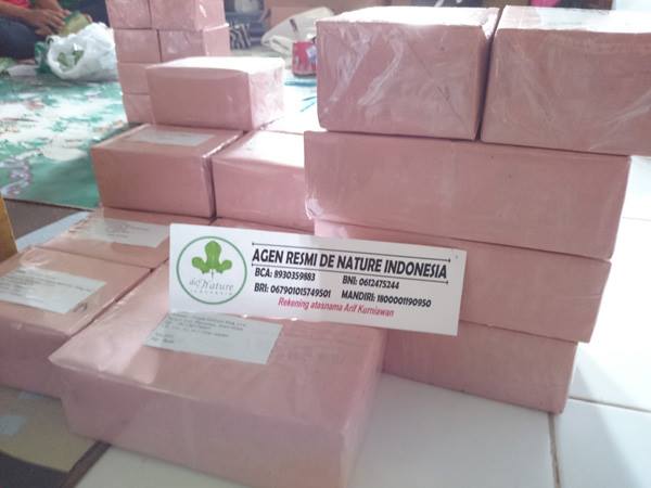 PAKET KEMASAN POLOS OBAT BATU GINJAL