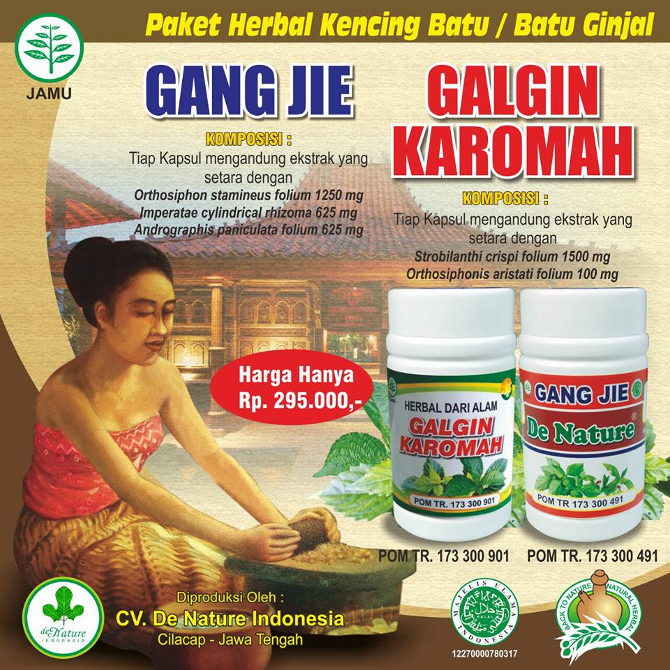 OBAT BATU GINJAL