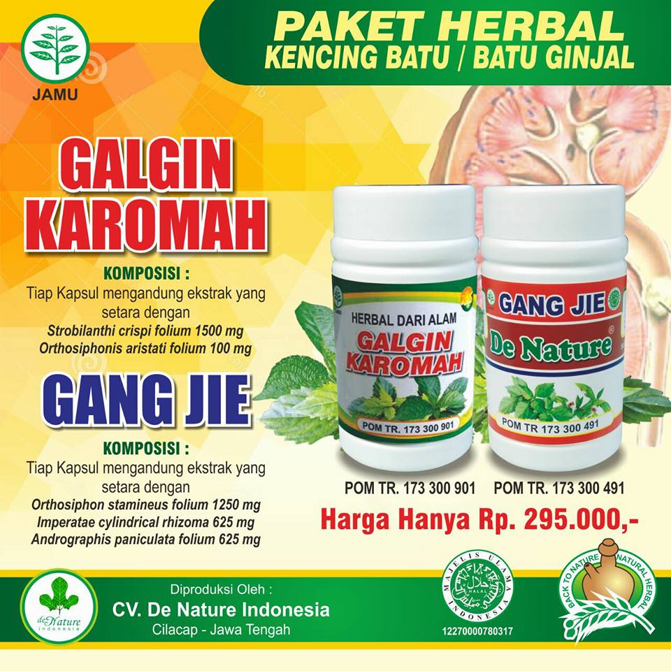 OBAT BATU GINJAL